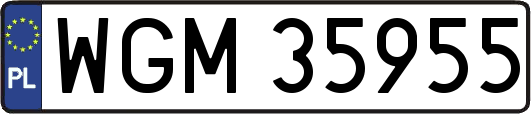 WGM35955