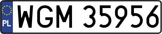 WGM35956