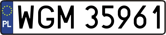 WGM35961