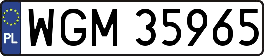 WGM35965