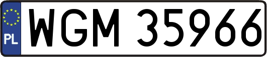 WGM35966