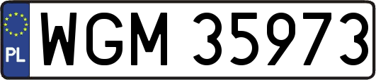WGM35973
