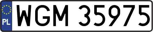 WGM35975