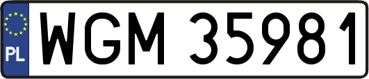 WGM35981