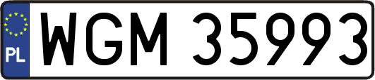 WGM35993
