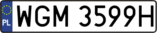 WGM3599H