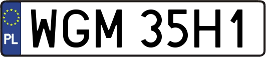 WGM35H1