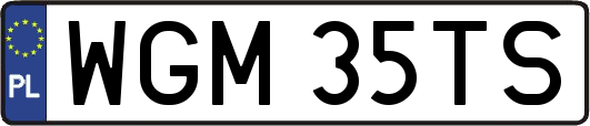 WGM35TS