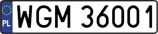 WGM36001