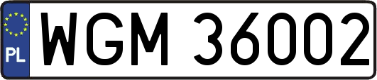 WGM36002