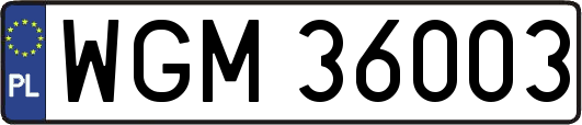WGM36003
