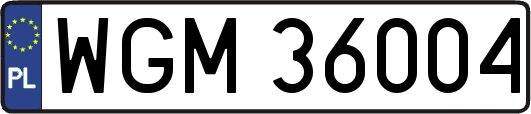 WGM36004