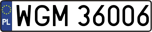 WGM36006