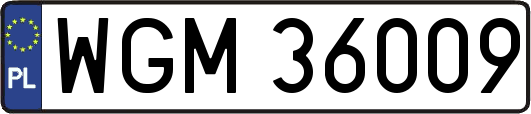 WGM36009
