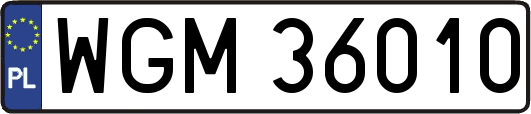 WGM36010