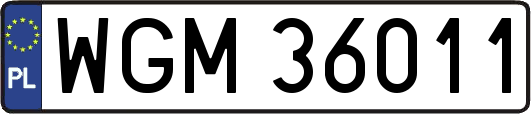 WGM36011