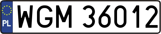 WGM36012