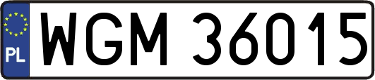 WGM36015