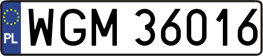 WGM36016