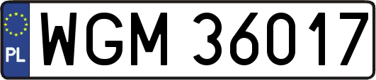 WGM36017