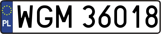 WGM36018