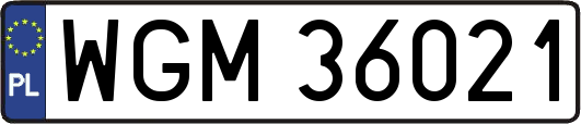 WGM36021