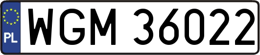 WGM36022