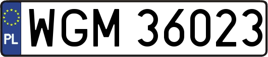 WGM36023