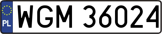 WGM36024