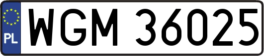 WGM36025