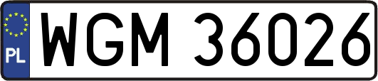 WGM36026