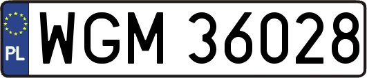 WGM36028