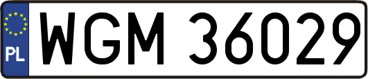 WGM36029