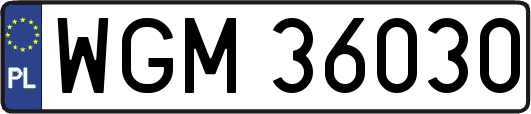 WGM36030