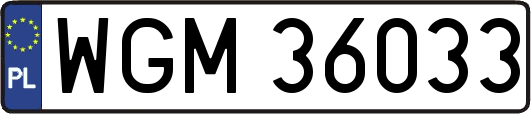 WGM36033