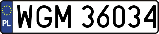 WGM36034