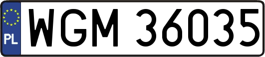 WGM36035
