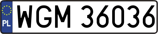 WGM36036