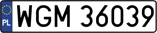 WGM36039