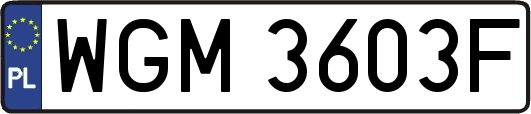 WGM3603F
