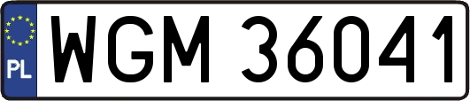 WGM36041