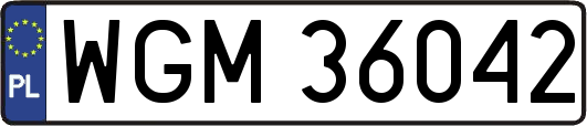 WGM36042