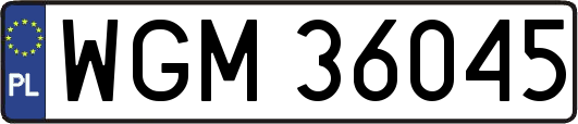 WGM36045