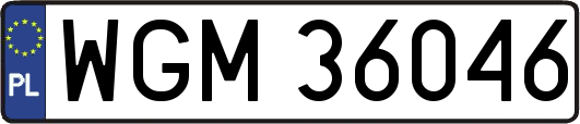 WGM36046
