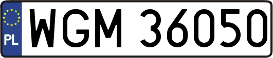 WGM36050