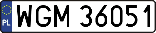 WGM36051