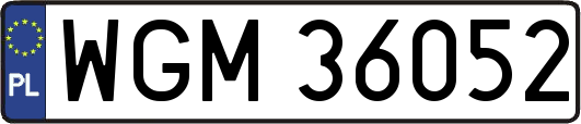 WGM36052