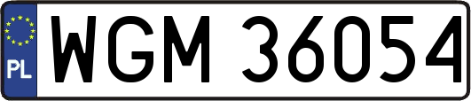 WGM36054