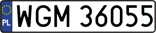 WGM36055