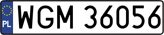WGM36056